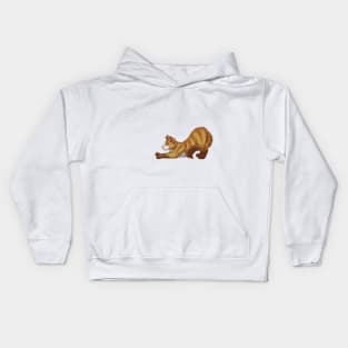 Tabby Somali Cat Stretching Yoga Cream Kids Hoodie